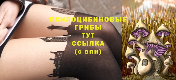 гашик Вязники