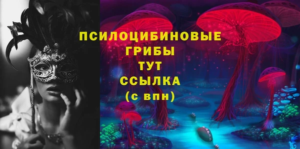 гашик Вязники